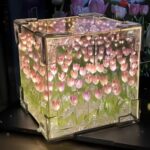 Cube Mirror Tulip Flower Night Light | ePonnoBazar