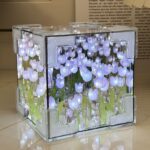 Cube Mirror Tulip Flower Night Light | ePonnoBazar