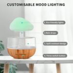 Rain Cloud Humidifier | ePonnoBazar
