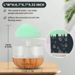Rain Cloud Humidifier | ePonnoBazar