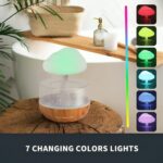 Rain Cloud Humidifier | ePonnoBazar