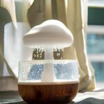 Rain Cloud Humidifier | ePonnoBazar