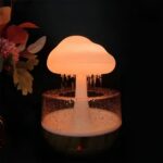 Rain Cloud Humidifier | ePonnoBazar