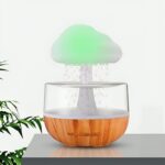Rain Cloud Humidifier | ePonnoBazar