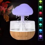 Rain Cloud Humidifier | ePonnoBazar