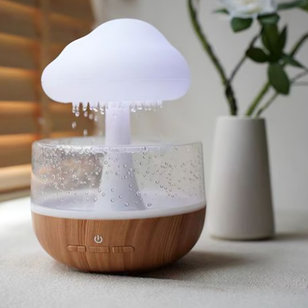 Rain Cloud Humidifier | ePonnoBazar